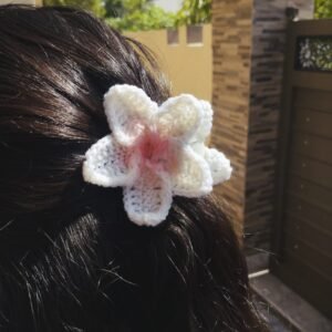 Croche Hair Clips