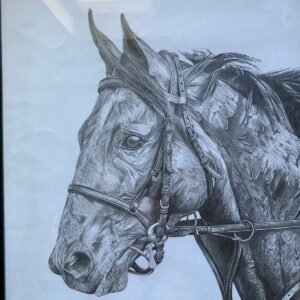 Graphite Pencil Sketch of a Horse