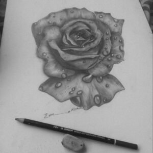Realistic Pencil Sketch of a Rose
